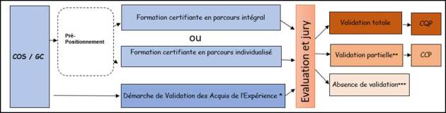 Schéma : Les voies d'accès CQP aux CQP conseiller offres de services et gestionnaire conseil