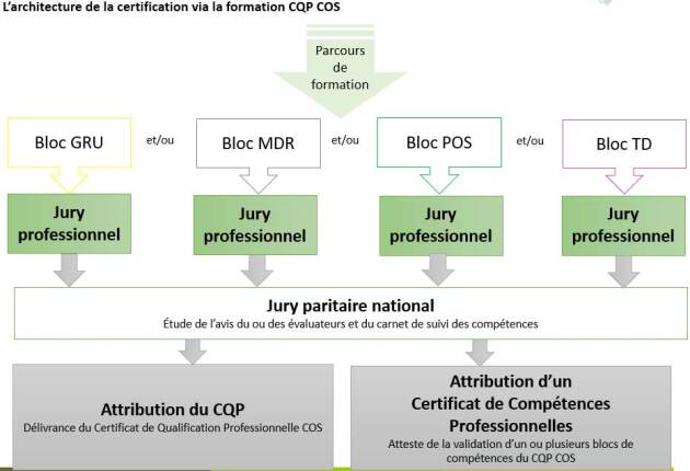 Schéma : les épreuves de certification du CQP COS